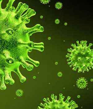 Вирусы вызывающие болезни человека животных и растений
